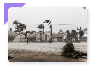 Hurricane-Proof Your Supply Chain