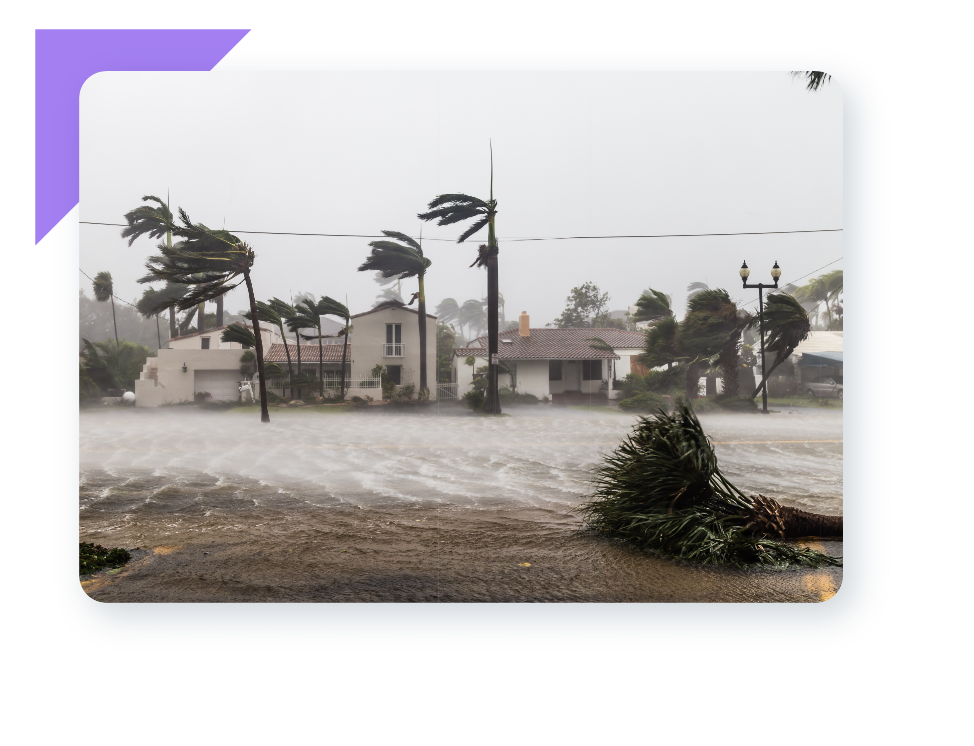 Hurricane Season